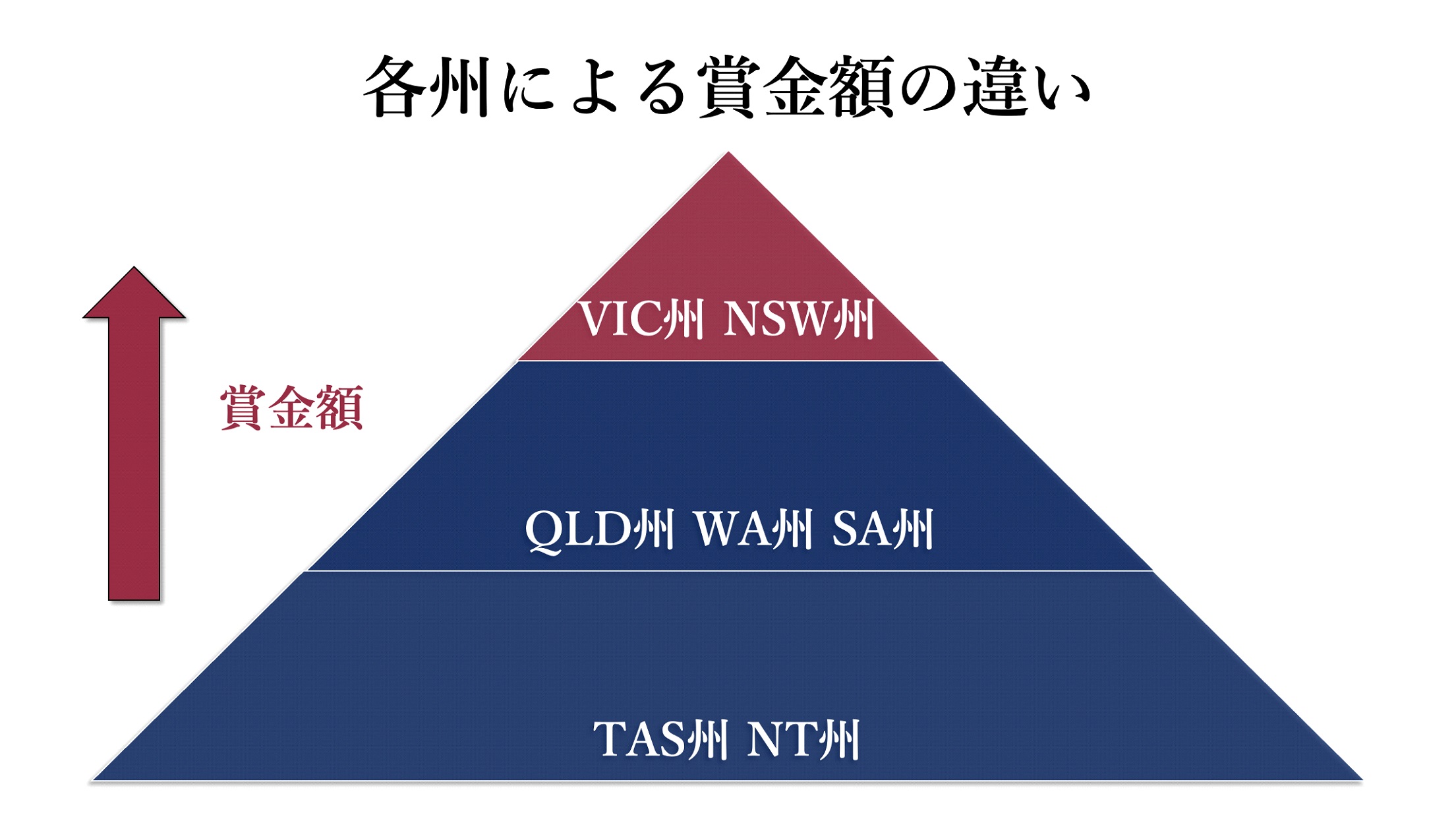 ご案内 | Rising Sun Syndicate